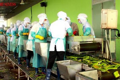 Tìm động lực tăng trưởng cho doanh nghiệp ngành hàng nông sản