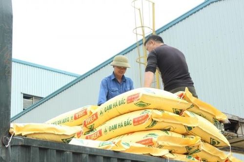 Kinh doanh dưới giá vốn, Đạm Hà Bắc lỗ hơn 130 tỷ đồng trong quý 2