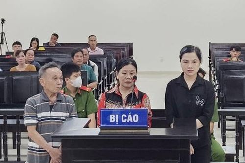 Một gia đình ở Bạc Liêu lĩnh 43 năm tù do làm sổ đỏ giả để lừa đảo