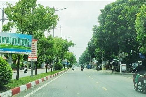 Hệ sinh thái Công ty Công Minh có 66 dự án cây xanh tại Bạc Liêu