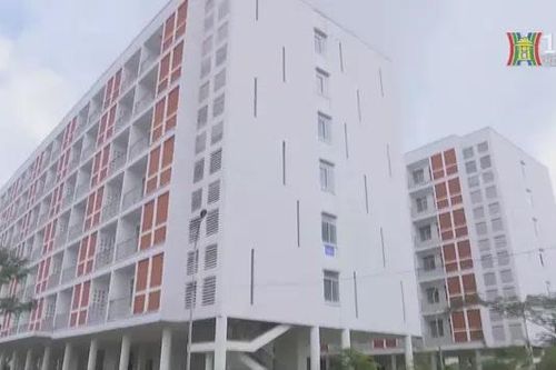 Đảm bảo triển khai các luật mới có hiệu quả