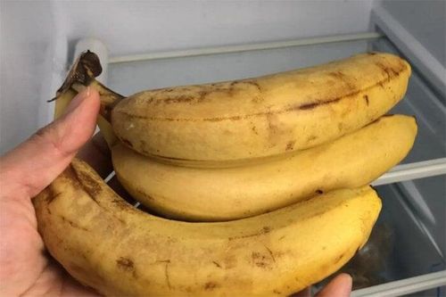 5 món càng để tủ lạnh càng dễ hỏng