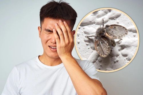 Đập chết ruồi đậu trên mắt, người đàn ông phải cắt bỏ nhãn cầu