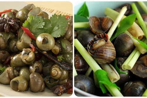 Những người nên hạn chế ăn ốc luộc