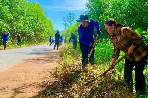 Đoàn viên thanh niên tham gia phát quang hành lang tuyến đường giao thông