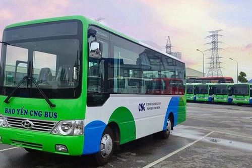 Hai nhân viên buýt Bảo Yến xúc phạm khách đi xe buýt bị cho nghỉ việc