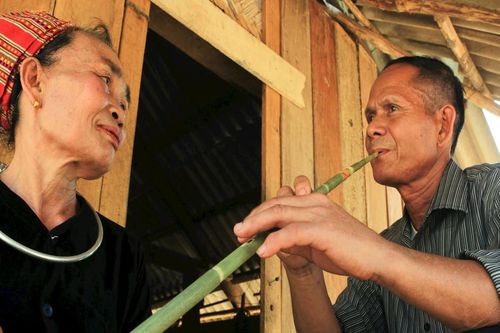 Đi tìm tiếng sáo tơm