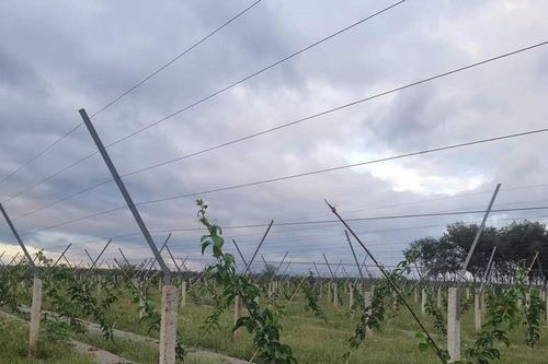 Khơi thông vốn cho nông nghiệp công nghệ cao