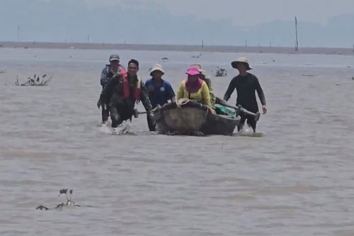 Kịp thời cứu ngư dân gặp nạn khi khai thác thủy sản trên biển