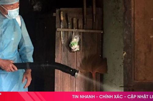 Tổ chức chiến dịch diệt lăng quăng, bọ gậy phòng, chống sốt xuất huyết