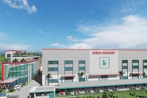 Tân binh Siba Group của ông Trương Sỹ Bá báo lãi đi lùi