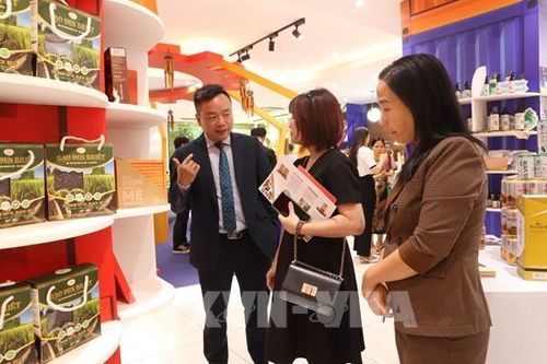 Kết nối tiêu thụ đặc sản Đắk Lắk qua hệ thống phân phối Tp. Hồ Chí Minh