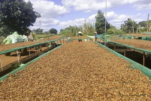 Đắk Nông: Xuất nhập khẩu khởi sắc