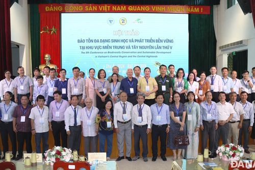 Giải quyết các xung đột, phân bổ lại không gian biển cho phát triển và bảo tồn