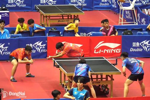 Đồng Nai giành 4 huy chương vàng Giải Vô địch bóng bàn trẻ, thiếu niên, nhi đồng quốc gia