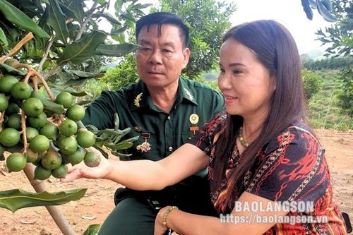Cựu chiến binh giỏi làm kinh tế, trách nhiệm với xã hội