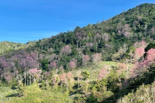 Cơ hội phát triển du lịch sinh thái, nghỉ dưỡng, giải trí trong rừng đặc dụng