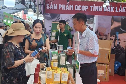 Kết nối cung - cầu tiêu thụ sản phẩm giữa tỉnh Đắk Lắk với TP.Hồ Chí Minh