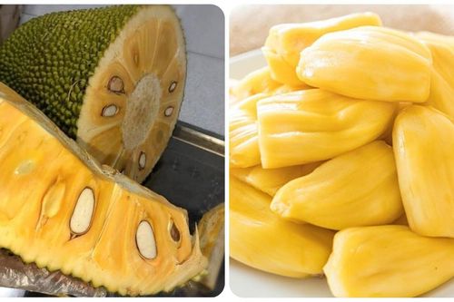 Những trường hợp nào cần hạn chế ăn mít?