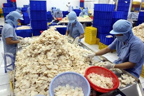 Doanh nghiệp lãi cả tỷ đồng mỗi ngày nhờ bán phồng tôm