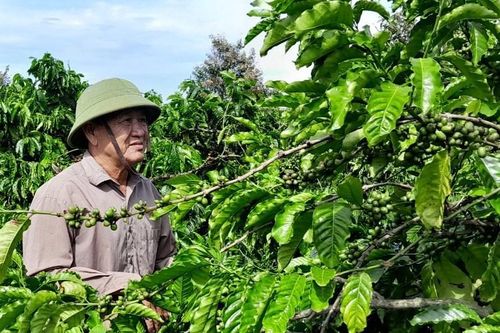 Những tấm gương thương bệnh binh vươn lên vượt qua nỗi đau thương tật