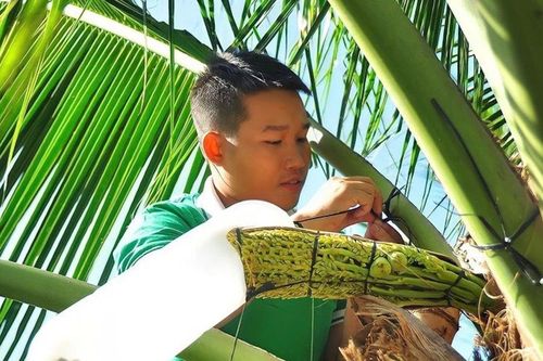 Người mang mật hoa dừa Việt Nam ra thị trường quốc tế