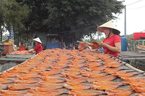 Làng khô cá đồng ở vùng biên