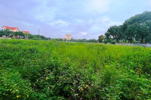 Năng lực BĐS Vạn Xuân săn đất vàng ở Hải Dương 416 tỷ