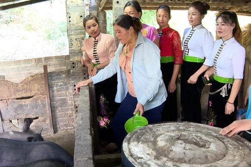 Chị Mông làm kinh tế giỏi