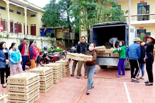 Phú Bình -Thái Nguyên hỗ trợ 'đúng trúng' để giảm nghèo bền vững