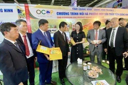 Ngoại giao kinh tế Việt Nam-Lào nỗ lực đóng góp cho mục tiêu tăng giá trị thương mại song phương lên 2 tỷ USD