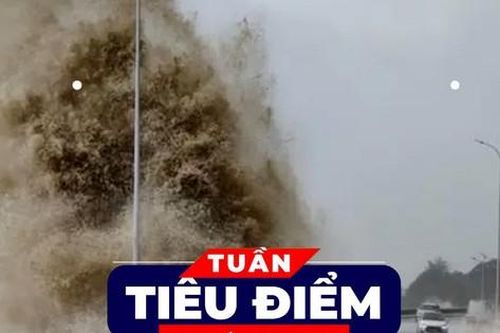 TIÊU ĐIỂM: Bão Gaemi mạnh nhất từng có ở Tây Thái Bình Dương; Con số của tuần: 257