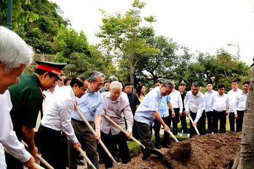 Cây đa biên ải nhớ người trồng