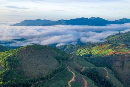 Những câu chuyện tháng Bảy