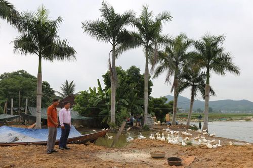 Nông dân Nghệ An chuyển đổi cây trồng, vật nuôi, nâng giá trị sản xuất