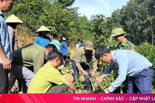 Hương Sơn phát động trồng cây gây rừng giảm khí thải nhà kính