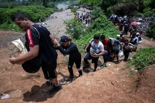 Nhiều người chết đuối khi vượt rừng Daríen Gap trong lũ