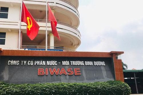 Lỗ chênh lệch tỉ giá kéo lùi lợi nhuận Biwase