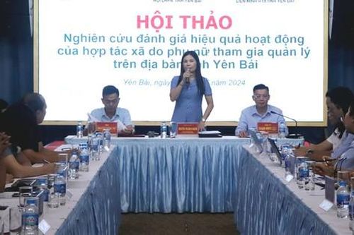 Yên Bái hiện có 167 hợp tác xã do phụ nữ tham gia quản lý