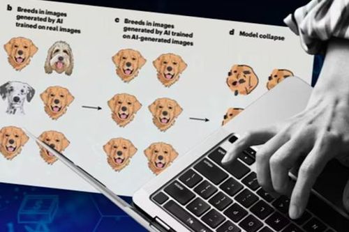 Thiếu dữ liệu do con người tạo ra sẽ hạn chế tiến trình phát triển AI