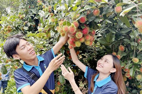 Huyện Xuân Lộc phát triển 3 loại hình du lịch
