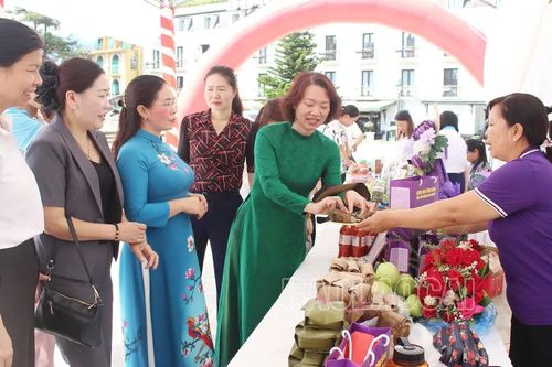 Giao lưu kết nối, giới thiệu mô hình sinh kế tiêu biểu cho phụ nữ vùng dân tộc thiểu số và miền núi