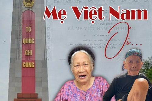 Mẹ Việt Nam ơi...