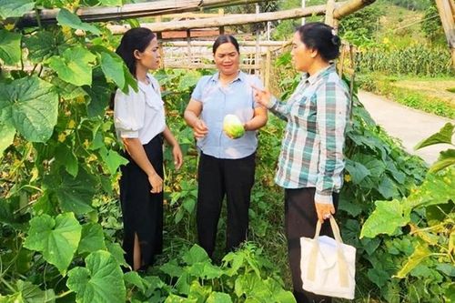 A Lưới thoát nghèo