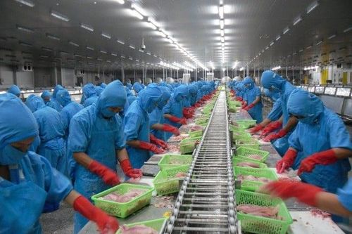Cổ phiếu DXS khiến lãi sau thuế của Vĩnh Hoàn giảm