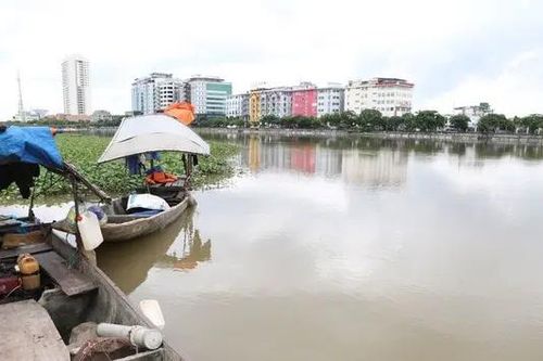 Ngập hàng loạt cầu tạm qua sông Đáy, giao thông gián đoạn