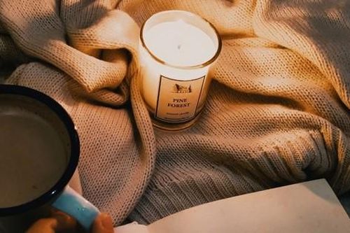 Có không giả thuyết 'cú đêm' có xu hướng thông minh hơn người đi ngủ sớm?