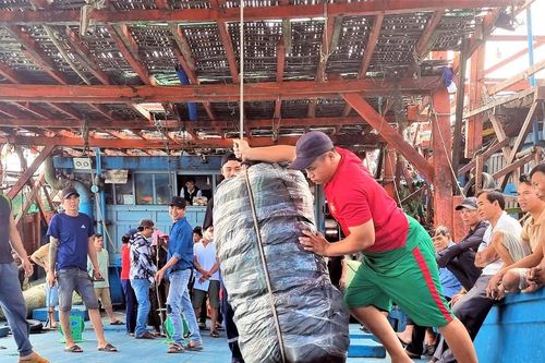 Trúng đậm mực xà