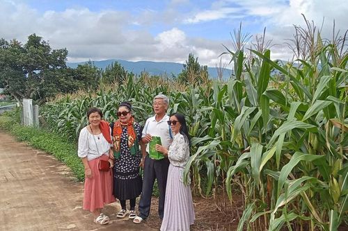 Dấu mưa nơi thành phố ngàn hoa