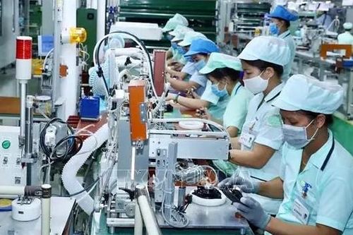 Tận dụng ưu đãi FTA, nâng sức cạnh tranh của doanh nghiệp